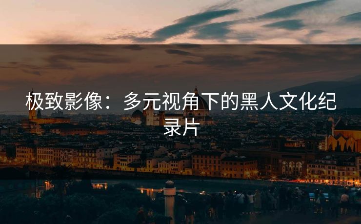 极致影像：多元视角下的黑人文化纪录片