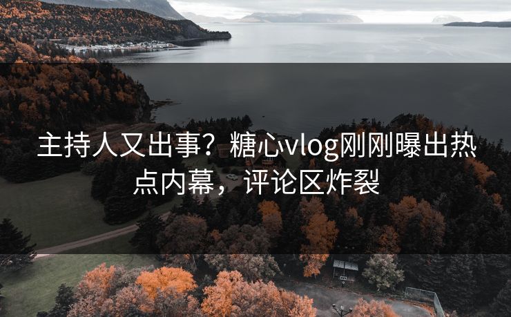 主持人又出事？糖心vlog刚刚曝出热点内幕，评论区炸裂