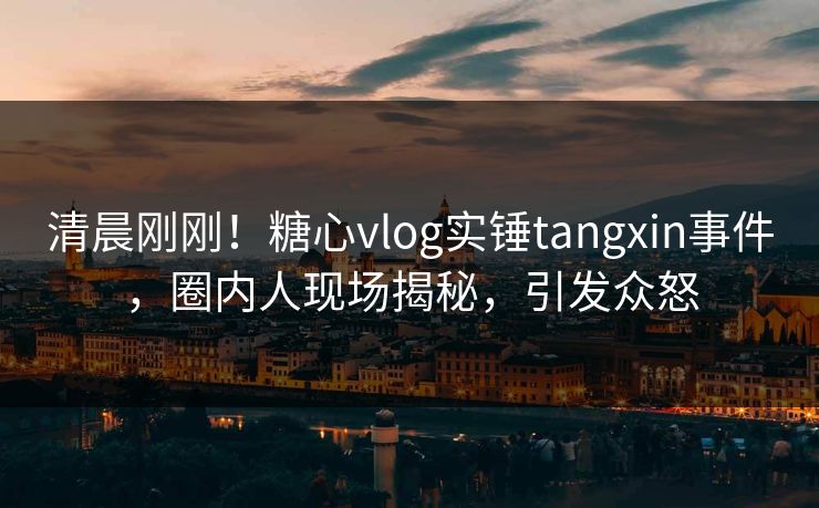 清晨刚刚！糖心vlog实锤tangxin事件，圈内人现场揭秘，引发众怒