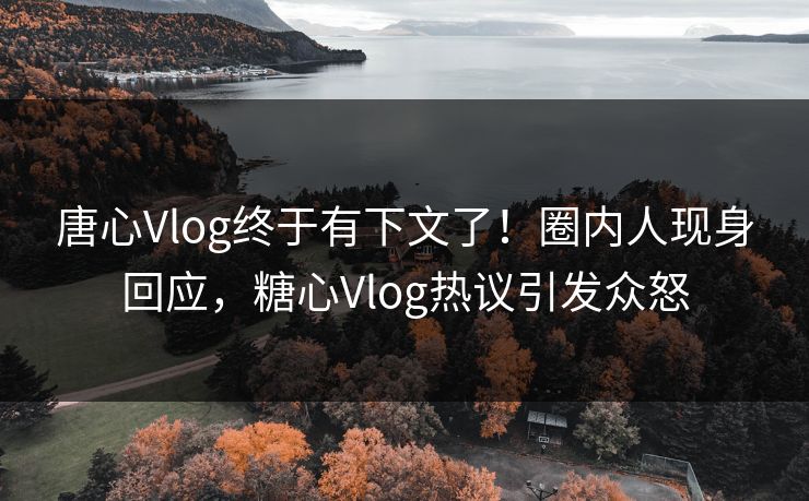 唐心Vlog终于有下文了！圈内人现身回应，糖心Vlog热议引发众怒