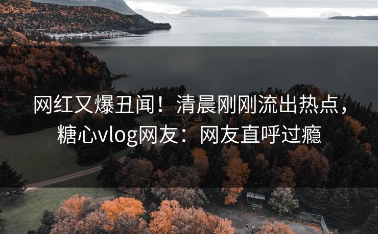 网红又爆丑闻！清晨刚刚流出热点，糖心vlog网友：网友直呼过瘾