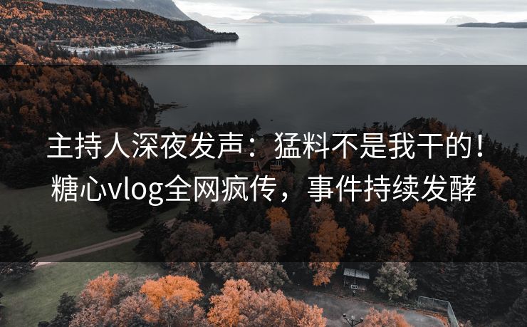 主持人深夜发声：猛料不是我干的！糖心vlog全网疯传，事件持续发酵
