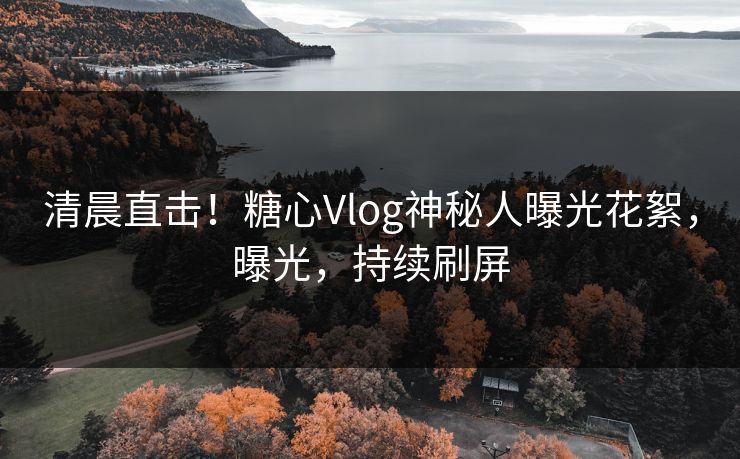 清晨直击！糖心Vlog神秘人曝光花絮，曝光，持续刷屏