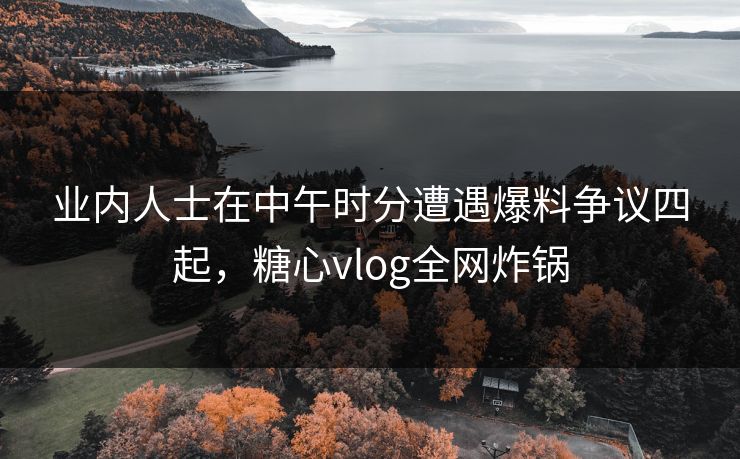 业内人士在中午时分遭遇爆料争议四起，糖心vlog全网炸锅
